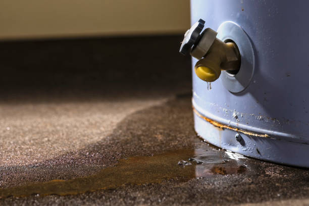 Local water damage restoration in ID