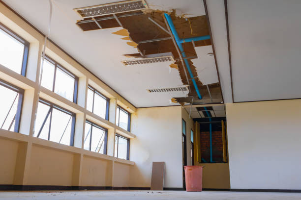 Best Professional water damage repair  in St Anthony, ID