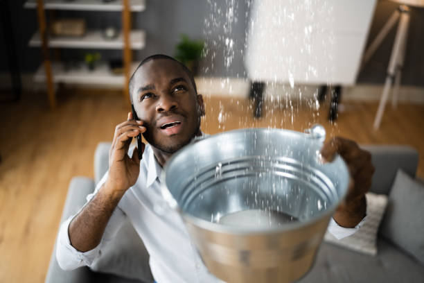 Best Professional water damage repair  in St Anthony, ID