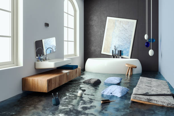 Best Commercial water damage restoration  in St Anthony, ID