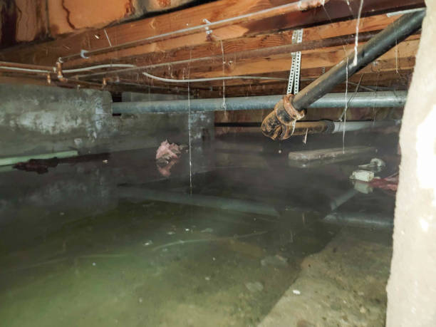 Reliable ID Water damage restoration Solutions