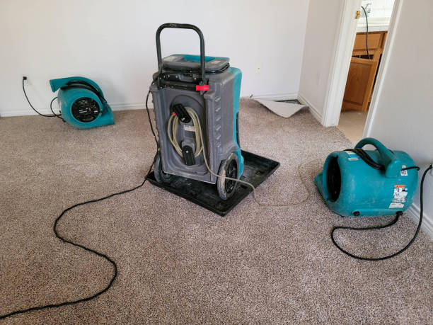 Best Sewage cleanup and water damage restoration  in St Anthony, ID