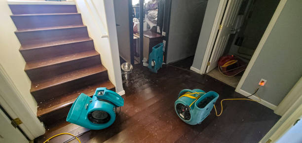 Best Ceiling water damage repair  in St Anthony, ID