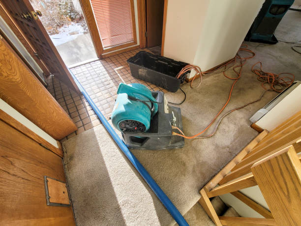 Best Water damage repair service  in St Anthony, ID