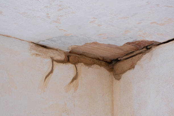Best Water damage contractors near me  in St Anthony, ID