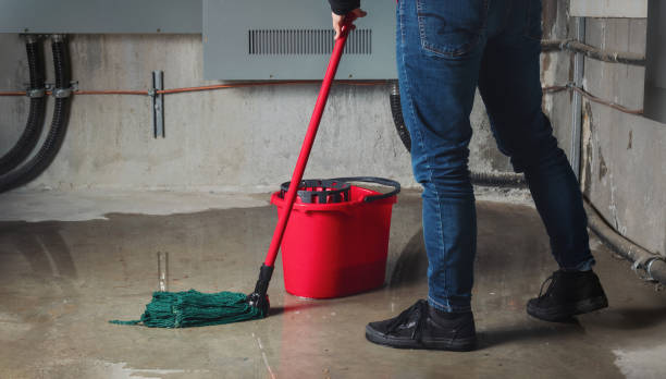 Best Commercial water damage restoration  in St Anthony, ID