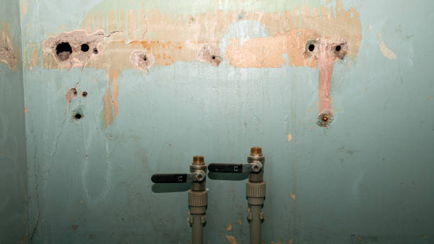 Best Water damage restoration near me  in St Anthony, ID