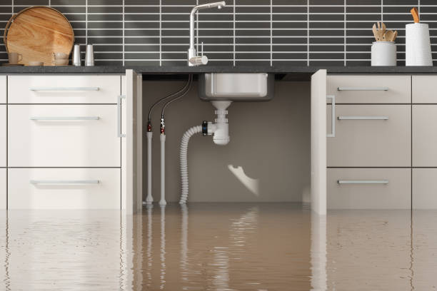 Best Flood damage cleanup  in St Anthony, ID