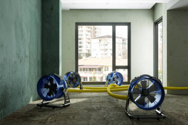 Best Water damage cleanup near me  in St Anthony, ID