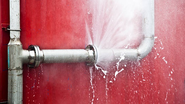 Best 24/7 water damage repair  in St Anthony, ID