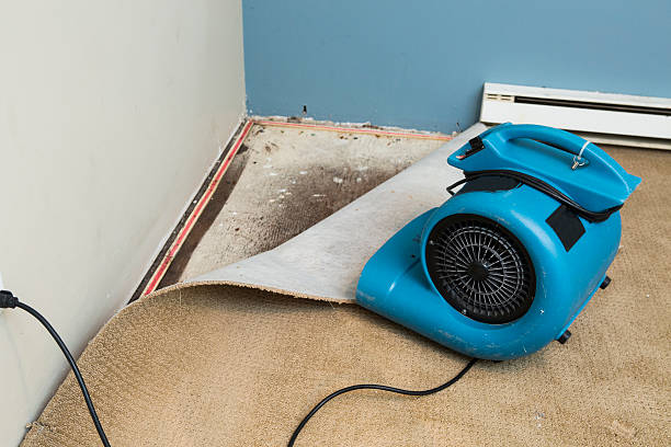 Best Carpet water damage restoration  in St Anthony, ID